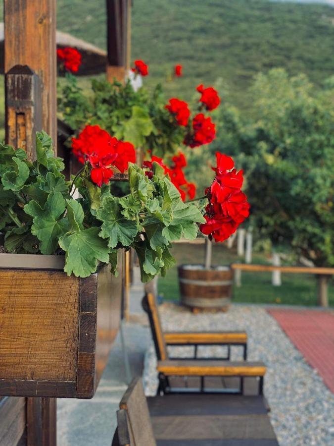 Λωτοσ Villa Kavála ภายนอก รูปภาพ